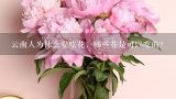 云南人为什么爱吃花，哪些花是可以吃的？云南大学食堂推出玫瑰宴，玫瑰宴具体是什么？