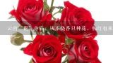 云南“花”寺庙，从不烧香只种花，韩红也来过，这是,没有香火种满了鲜花，我国唯一的花园古寺在哪里？