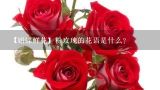 【娟蝶鲜花】粉玫瑰的花语是什么？