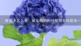 鲜花拳怎么划？就是喝酒的时候别人叫猜拳…