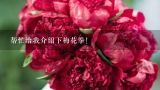 帮忙给我介绍下梅花拳!,云南最大鲜花市场，鲜花论斤卖，哪来这么多鲜花？