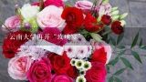 云南大学再开“玫瑰宴”,七彩云南文博园内的怡心园大酒店是不是有个鲜花宴？