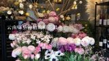 云南哪里种植的鲜花最多?昆明花卉批发市场在哪里？