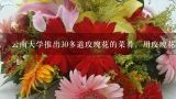 云南大学推出30多道玫瑰花的菜肴，用玫瑰花能做哪些,怎样做玫瑰花的馒头