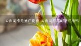 云南是不是盛产花卉 云南是鲜花的生产地吗,云南花卉主要有哪些品种?各种花卉品种在云南花卉产