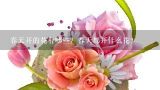 春天开的花有哪些？春天都开什么花？云南昆明的玫瑰花价格是多少？想在上海开个花店，从昆明批发花材划算吗？