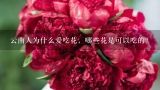 云南人为什么爱吃花，哪些花是可以吃的？云南田花的作用