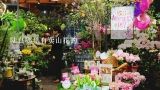 陆良哪里有卖山花的,云南省陆良县的变化
