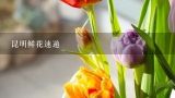 昆明鲜花速递,昆明有市内快递鲜花、蛋糕的吗？