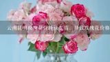 云南昆明玫瑰花价持续走高，导致玫瑰花价格上涨的原,鲜花进口运费与鲜花价格差多少