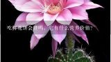 吃鲜花饼会胖吗，它有什么营养价值？云南人画的饼里有鲜花啥意思