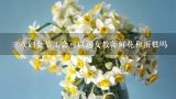 三八妇女节工会可以送女教师鲜花和蛋糕吗,cakehua鲜花蛋糕在长春哪里