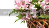寄鲜花去上海 那个快递公司好点？上海鲜花网，上海鲜花速递哪家鲜花网最好?