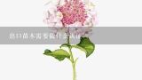 出口苗木需要做什么认证,中国主要出口哪些鲜花？