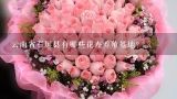 云南省石屏县有哪些花卉养殖基地？云南花卉种植基地在哪里
