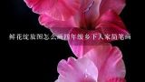 鲜花绽放图怎么画四年级乡下人家简笔画