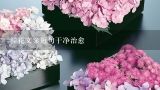 鲜花文案短句干净治愈,和闺蜜云南旅游文案简短唯美摘录(50条)