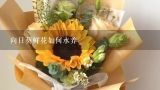 向日葵鲜花如何水养,向日葵鲜花开花的句子20字？