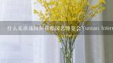 什么是滇池国际花都园艺博览会Yunnan International Flower Show？