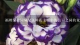 福州绿植同城配送鲜花主题中的公司之间的竞争是什么样的呢?