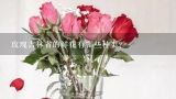 玫瑰吉林省的鲜花有哪些种类?