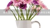 杨桥花卉批发市场中常见的花艺设计种类有哪些?