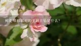 鲜花绿植派对的主题音乐是什么?