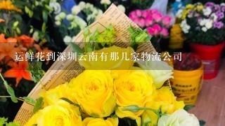 运鲜花到深圳云南有那几家物流公司