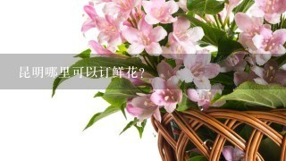 昆明哪里可以订鲜花？