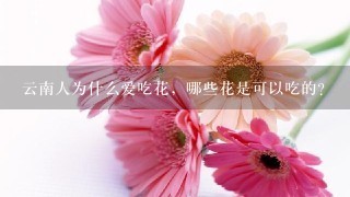 云南人为什么爱吃花，哪些花是可以吃的？