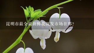 昆明市最全最新鲜花批发市场在那?