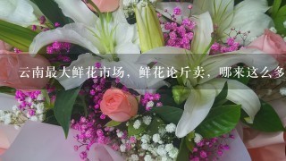 云南最大鲜花市场，鲜花论斤卖，哪来这么多鲜花？