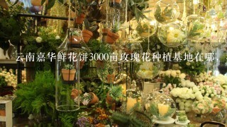 云南嘉华鲜花饼3000亩玫瑰花种植基地在哪，我在网上查了查大概在曲靖市马龙县，求具体位置，要离昆明