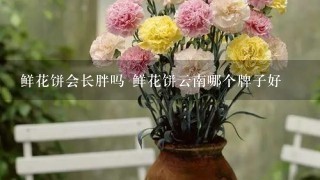 鲜花饼会长胖吗 鲜花饼云南哪个牌子好