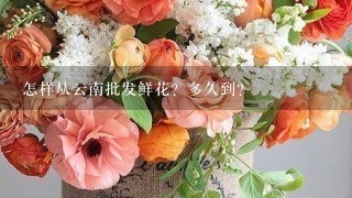 怎样从云南批发鲜花？多久到？