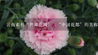 云南素有“世界花园”、“中国花都”的美称，是我国最大的花卉生产基地。据此完成下列小题。小题1:云南发展花卉产业最优越的自然条件是A．气候B．土壤C．地形D．水源小题2:荷兰是世界主要花卉生产国，与其相比，云南发展花卉产业的优势社会经济条件是A．种植历史悠久B．科技水平高C．劳动力低廉D．交通便捷