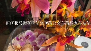 丽江花马街在哪站坐16路公交车路线火车站站专线