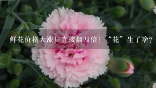 鲜花价格大涨！直接翻四倍！“花”生了啥？