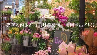 我在云南旅游看到过鲜花饼，请问很出名吗？