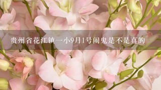 贵州省花江镇一小9月1号闹鬼是不是真的