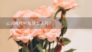 云南现烤鲜花饼怎么样？