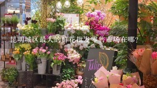 昆明城区最大的鲜花批发零售市场在哪?