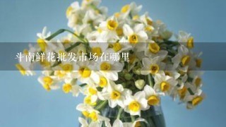 斗南鲜花批发市场在哪里