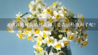 云南养殖鲜花的鲜花园，是否已经饱和了呢？