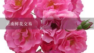 云南鲜花交易