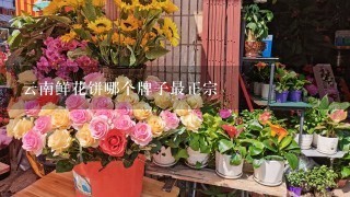 云南鲜花饼哪个牌子最正宗