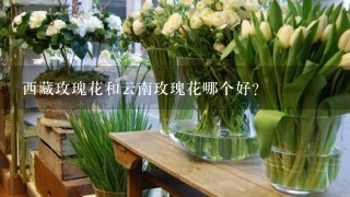 西藏玫瑰花和云南玫瑰花哪个好?