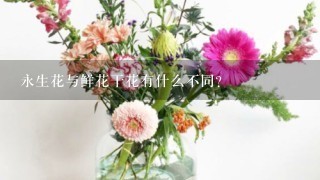 永生花与鲜花干花有什么不同？