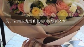 关于云南玉龙雪山的800字写景文章