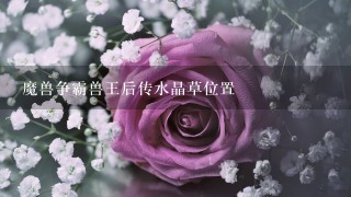 魔兽争霸兽王后传水晶草位置